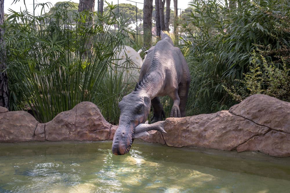 Игровая площадка для детей (снаружи)