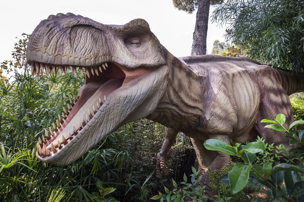 Игровая площадка для детей (снаружи)