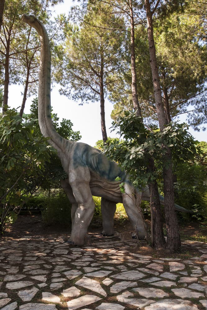 Игровая площадка для детей (снаружи)