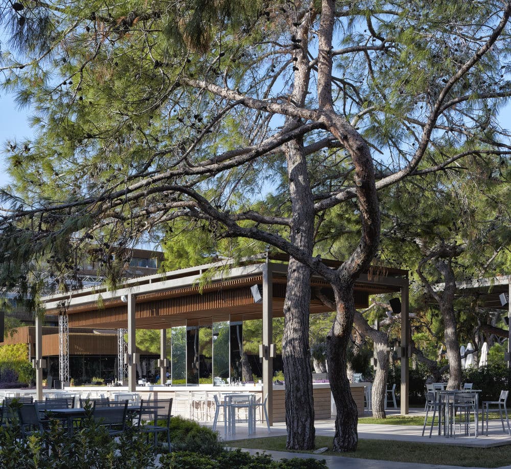 Обед на террасе