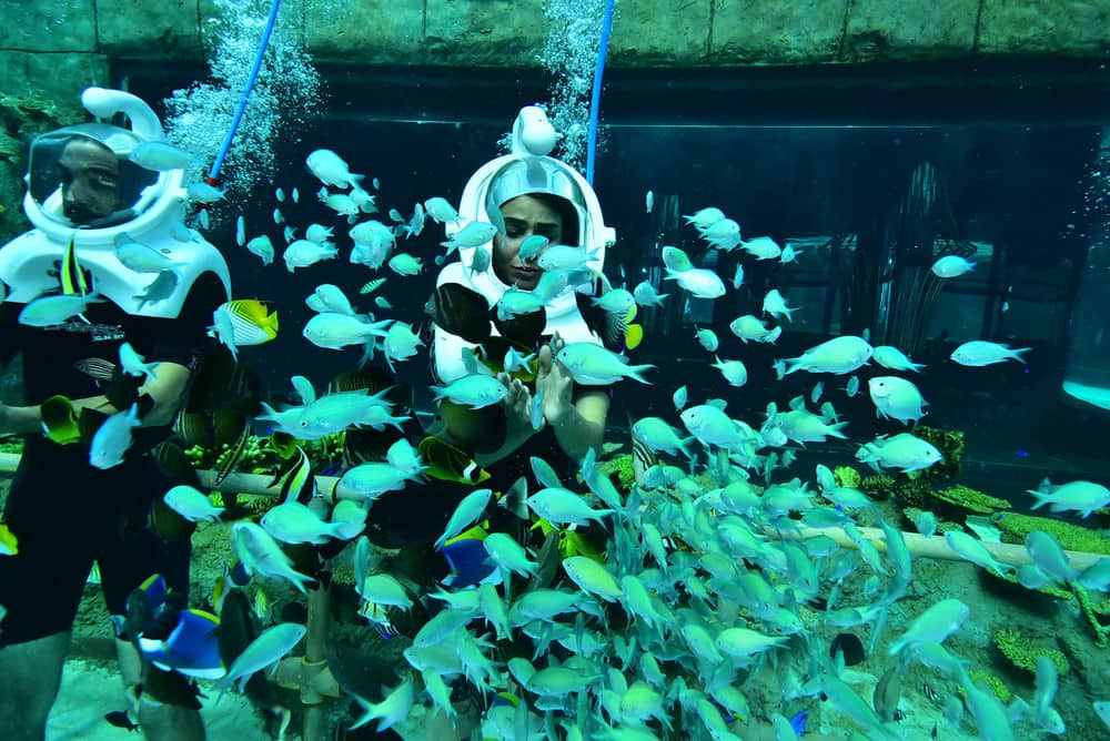 Открытый бассейн