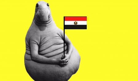 В Египет с середины февраля. ANEX TOUR отказался от пакетных туров в Египет.