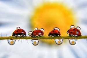 Куда поехать в марте 2021 года?